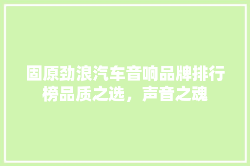 固原劲浪汽车音响品牌排行榜品质之选，声音之魂