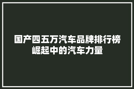 国产四五万汽车品牌排行榜崛起中的汽车力量
