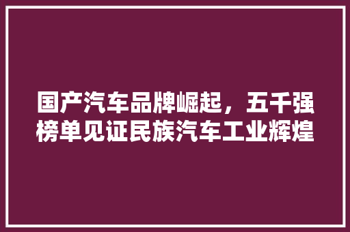 国产汽车品牌崛起，五千强榜单见证民族汽车工业辉煌