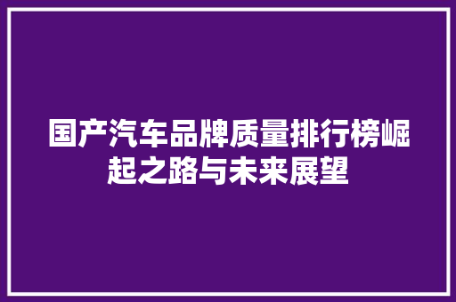 国产汽车品牌质量排行榜崛起之路与未来展望