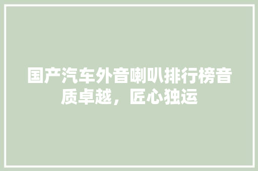 国产汽车外音喇叭排行榜音质卓越，匠心独运  第1张