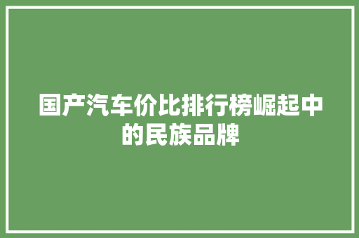 国产汽车价比排行榜崛起中的民族品牌