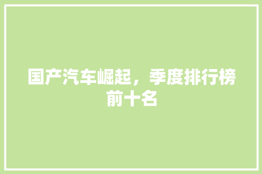 国产汽车崛起，季度排行榜前十名
