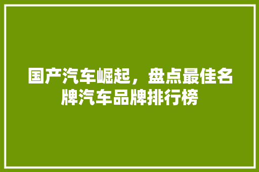 国产汽车崛起，盘点最佳名牌汽车品牌排行榜