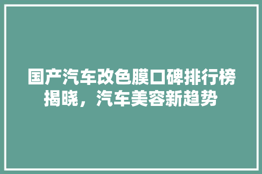国产汽车改色膜口碑排行榜揭晓，汽车美容新趋势