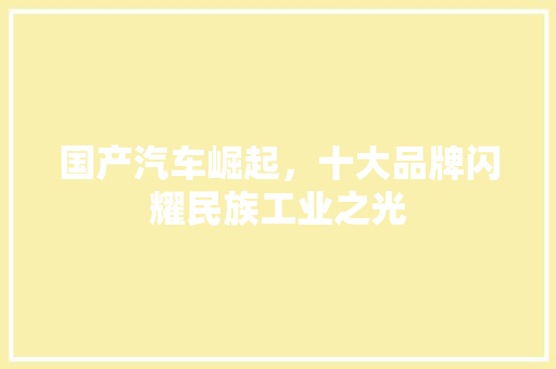 国产汽车崛起，十大品牌闪耀民族工业之光  第1张