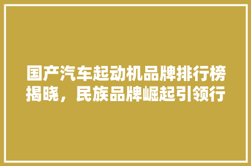 国产汽车起动机品牌排行榜揭晓，民族品牌崛起引领行业新风尚
