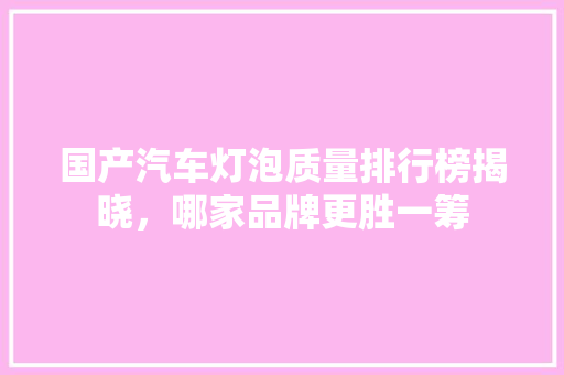 国产汽车灯泡质量排行榜揭晓，哪家品牌更胜一筹