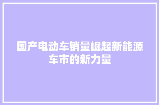 国产电动车销量崛起新能源车市的新力量