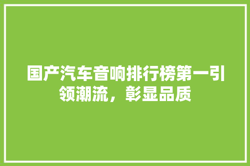 国产汽车音响排行榜第一引领潮流，彰显品质