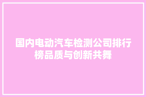 国内电动汽车检测公司排行榜品质与创新共舞  第1张